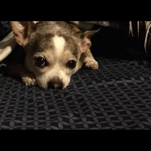 Meet your Posher, Robert